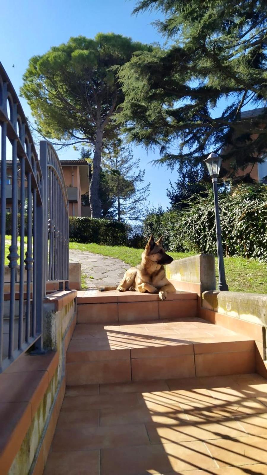Appartamenti Pesaro Mare Ledimar Exteriör bild